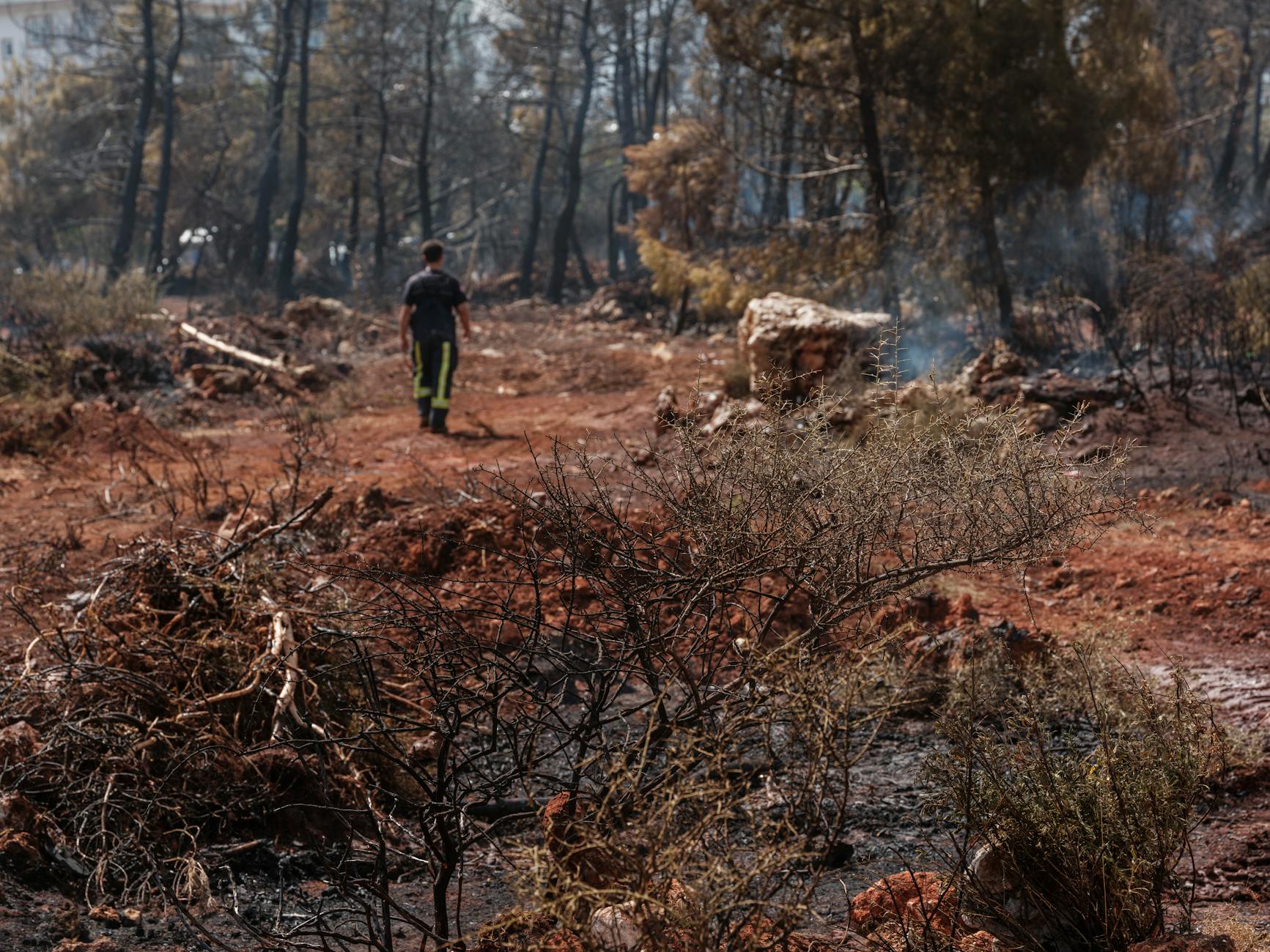 forest fire extinguishing efforts